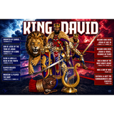 King David History Poster