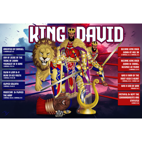 King David History Poster